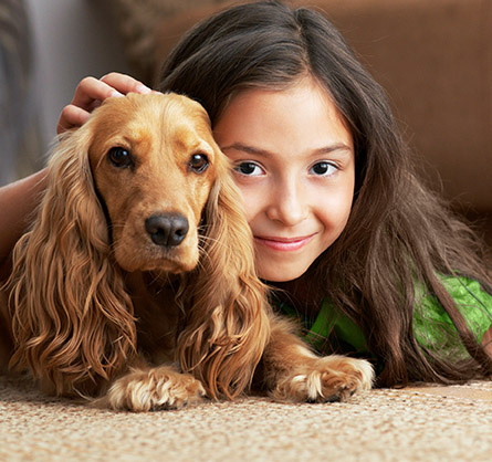 Professional floor cleaners in Turnersville, NJ, that you can trust Professional floor cleaners in Turnersville, NJ, that you can trust